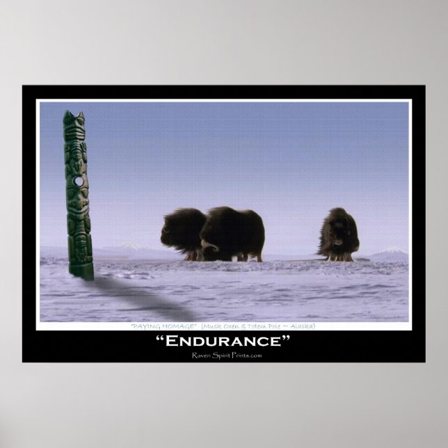 "ENDURANCE" Poster Musse Oxen & Totem Pole Art (Framsidan)