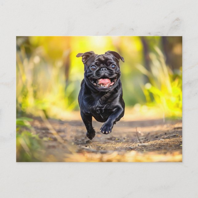 Energetic Pug Running Through Forest Vykort (Framsida)