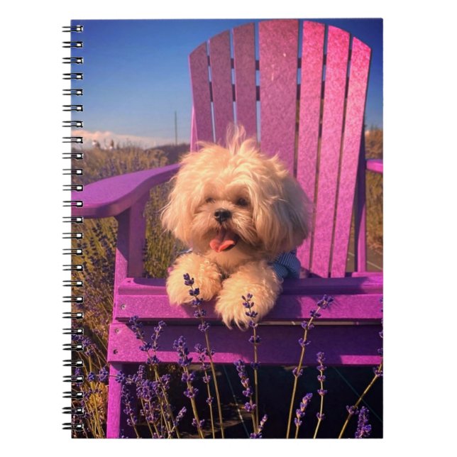 Energetic Toy Shih Tzu Puppy, Happy Dog Relaxing Anteckningsbok (Framsidan)