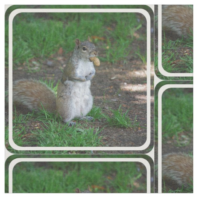 Enfaldig ekorre tyg (Närbild)