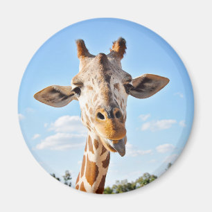 Enfaldig giraff magnet