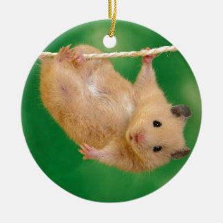 enfaldig hampster julgransprydnad keramik