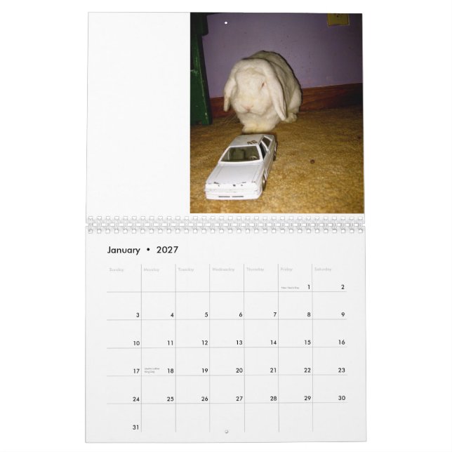 enfaldig kanin kalender (Jan 2027)
