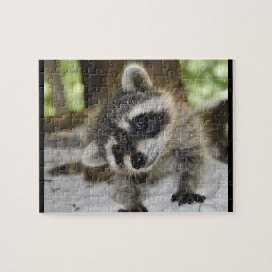 Enfaldig Raccoon - pussel