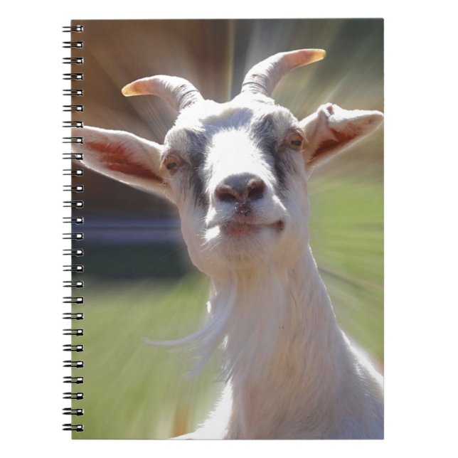 Enfaldiga BillyGoat fotograferar Anteckningsbok (Framsidan)