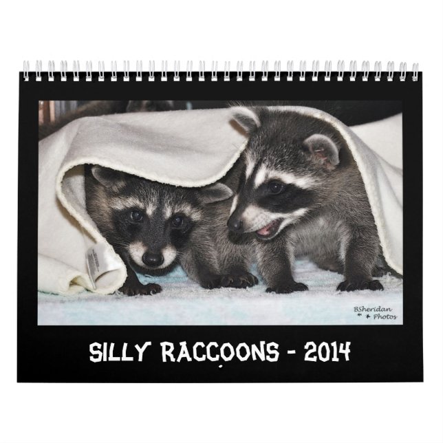 Enfaldiga Raccoons - kalender 2014 (Omslag)
