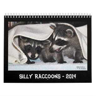 Enfaldiga Raccoons - kalender 2014