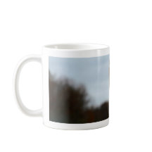 Enfaldigt foto för djurliv för ansikte för Ostrich