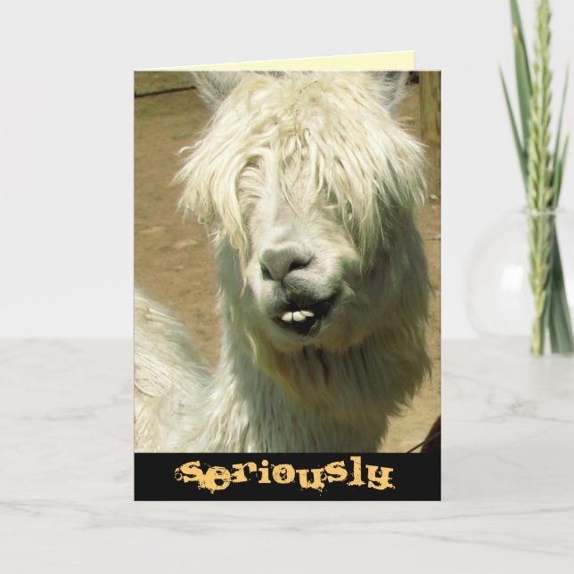 Enfaldigt Llamafödelsedagkort Kort (Framsida)