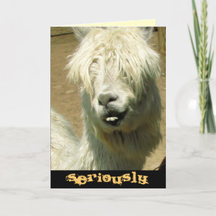 Enfaldigt Llamafödelsedagkort Kort