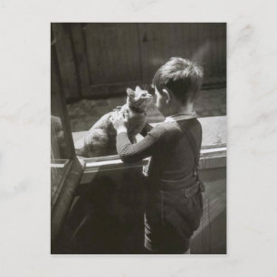 Enfant et son chatta - Willy Ronis Vykort