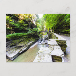 Enfield Glen, Robert H Treman State Park, NY Vykort