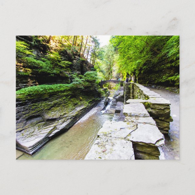 Enfield Glen, Robert H Treman State Park, NY Vykort (Framsida)