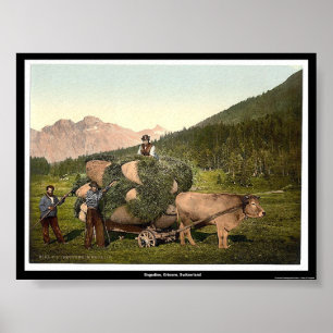 Engadine, Grisons, Schweiz Poster