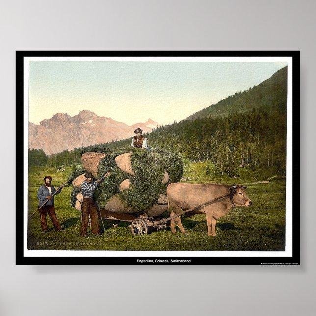 Engadine, Grisons, Schweiz Poster (Framsidan)