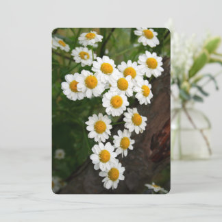 Engagement Bridal shower Invitations Inbjudningar