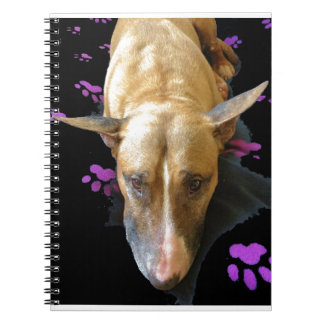 Engelsk Bull Terrier-anteckningsbok Anteckningsbok Med Spiral