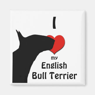 Engelsk Bull Terrier Fridge Magnet
