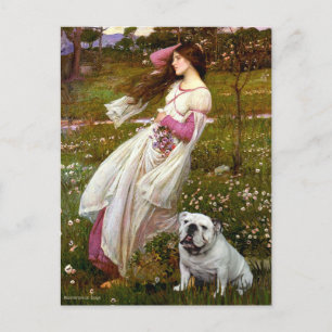 Engelsk Bulldog 9 - Vindblommor Vykort