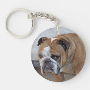 Engelsk bulldog-akryl-Nyckelring/Hund-Nyckelring