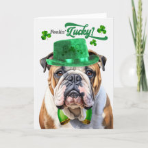 Engelsk Bulldog Feelin' Lucky St patrick's day