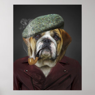 Engelsk bulldog Fransk Hat Pipe Poster