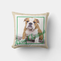 Engelsk bulldog-Grönt, julfotfoto, Helgdag