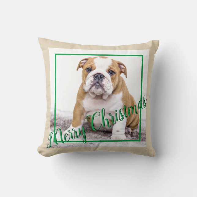 Engelsk bulldog-Grönt, julfotfoto, Helgdag Kudde (Framsida)