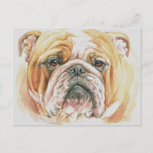 Engelsk Bulldog Hund Ansikte Akvarell Målning Vykort (Framsida)
