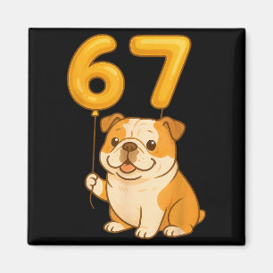Engelsk Bulldog Hund Rolig 67 Meme Sex Sju Balloo Magnet