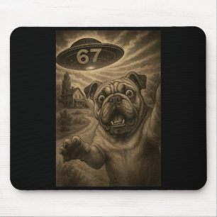 Engelsk Bulldog Hund Selfie 67 Meme Sex Sju Rolig Musmatta