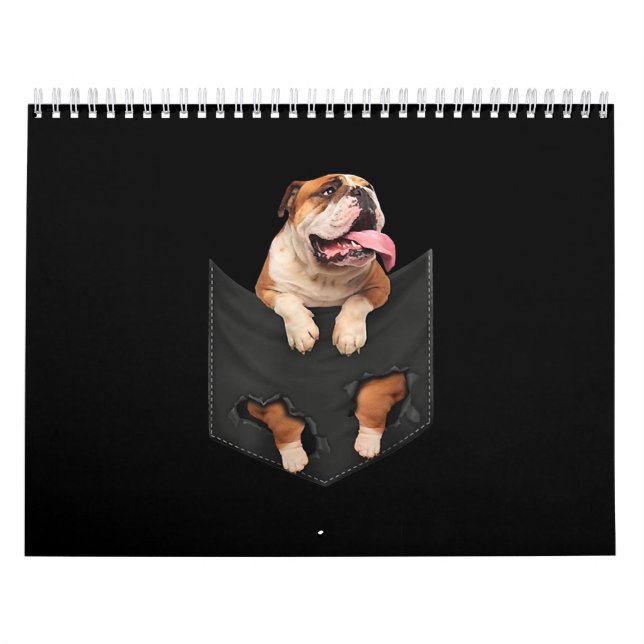 Engelsk bulldog i din Pocket Hundar Älskare Kalender (Omslag)