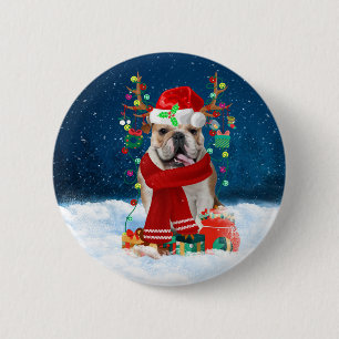 Engelsk bulldog i Snö med julklappar Knapp