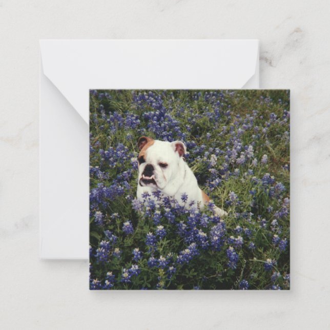 Engelsk bulldog i Texas Bluebonnets Note Card Anteckningskort (Framsida)
