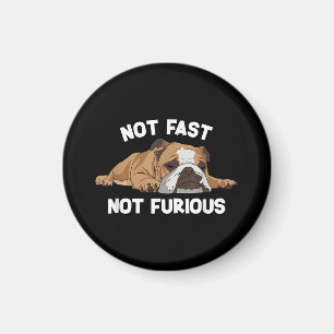 Engelsk bulldog inte snabb, inte felfri funktion magnet