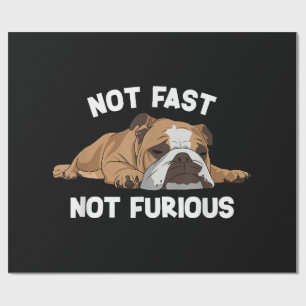 Engelsk bulldog inte snabb, inte felfri funktion presentpapper