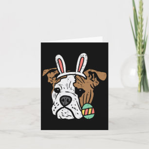 Engelsk Bulldog Kanin Hund Ägare Älskare Män Kvinn Kort