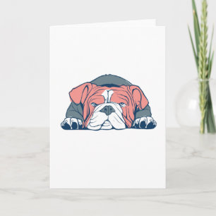 Engelsk bulldog kort
