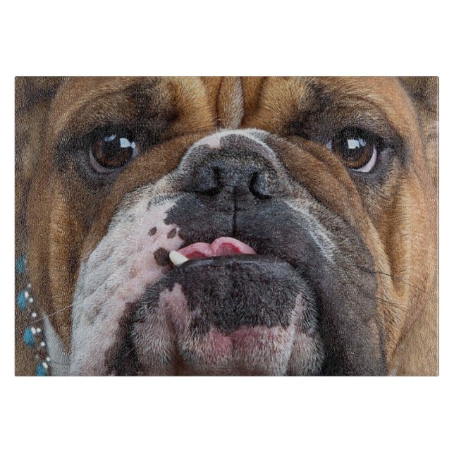 Engelsk Bulldog Kudd (Framsidan)