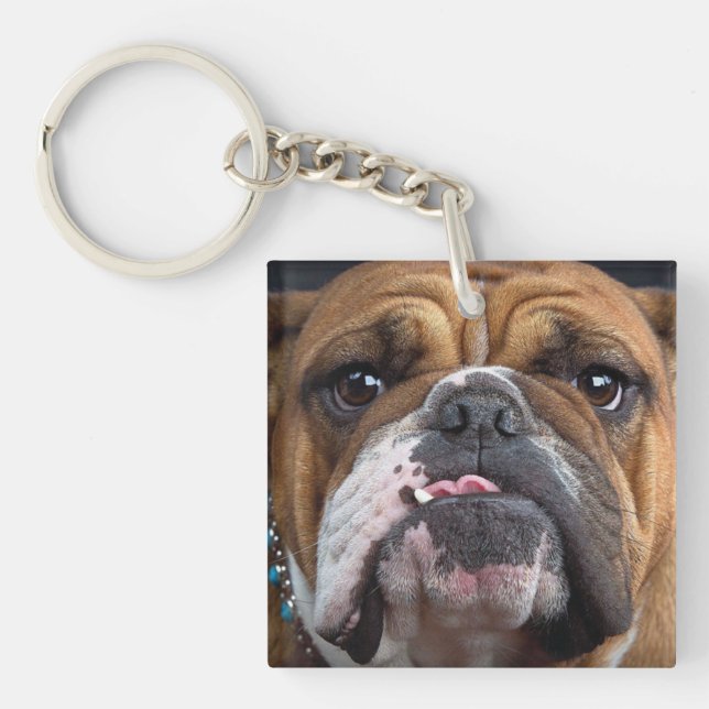 Engelsk Bulldog Kudd (Framsidan)