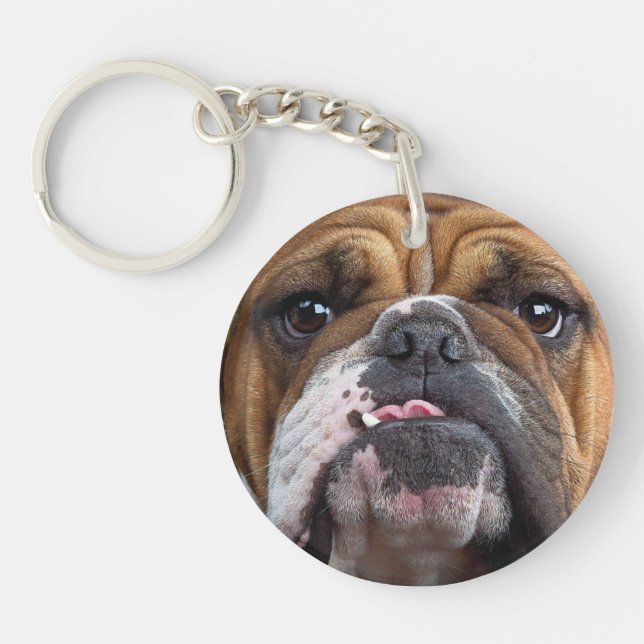 Engelsk Bulldog Kudd (Framsidan)