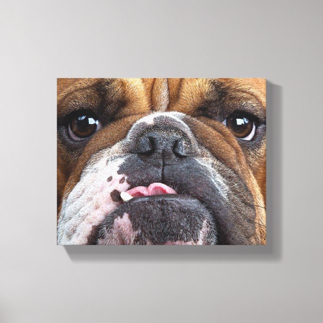 Engelsk Bulldog Kudd Canvastryck (Framsida)