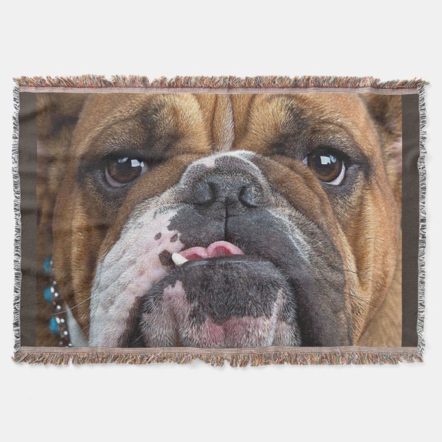 Engelsk Bulldog Kudd Filt (Framsidan)