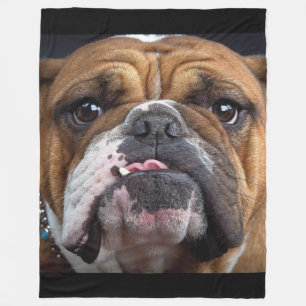 Engelsk Bulldog Kudd Fleecefilt