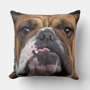Engelsk Bulldog Kudd Kudde