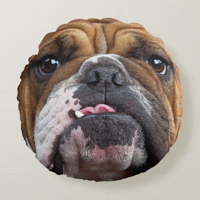 Engelsk Bulldog Kudd Rund Kudde (Framsidan)