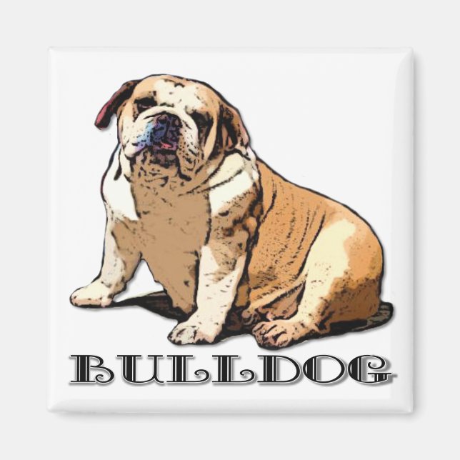 Engelsk bulldog magnet (Framsidan)