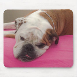 Engelsk Bulldog Musmatta