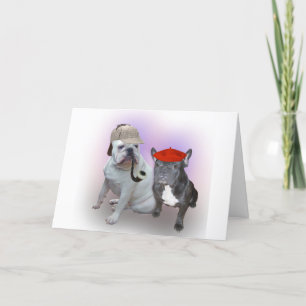 Engelsk bulldog och Fransk Bulldog Kort