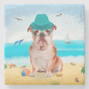Engelsk Bulldog på Strand Stenunderlägg